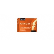 Vitalart articular  60 comprimidos