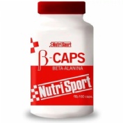 Nutrisport whey gold protein platano 500 gr