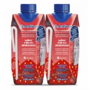 BIORALSUERO (200 ML FRESA  3 TETRABIK)
